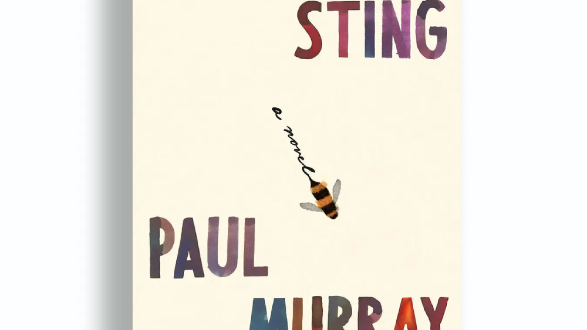 The Bee Sting, by Paul Murray