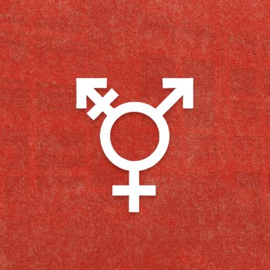 Why did metropolitan university permanently expel this transgender student?