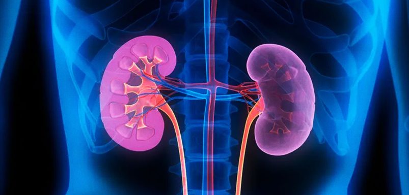 7 early warning signs your kidneys are in trouble