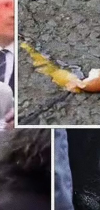 From royalty to ministers: How egging became a protest tool