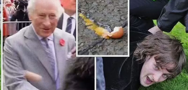 From royalty to ministers: How egging became a protest tool