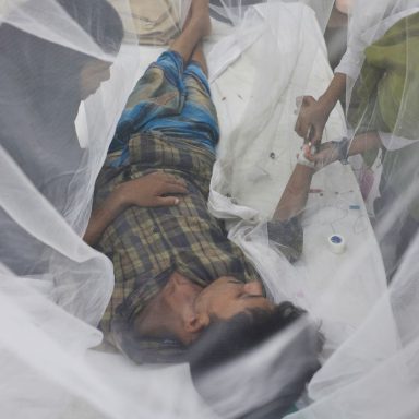 What is the difference between dengue and chikungunya?