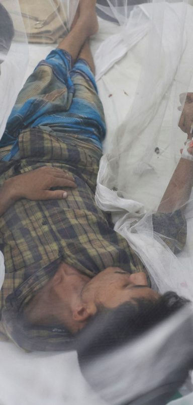 What is the difference between dengue and chikungunya?