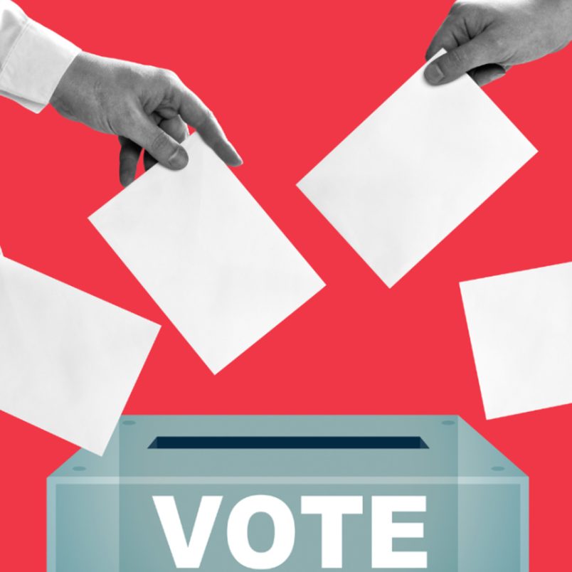Which political party dominates voter expectations for 2026?