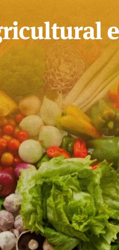 Bangladesh’s top agricultural exports in FY25