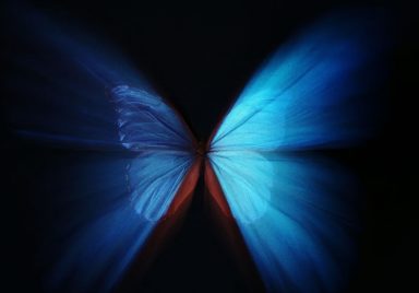The butterfly effect: How small changes create big consequences
