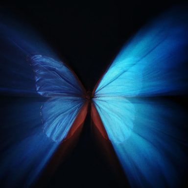 The butterfly effect: How small changes create big consequences