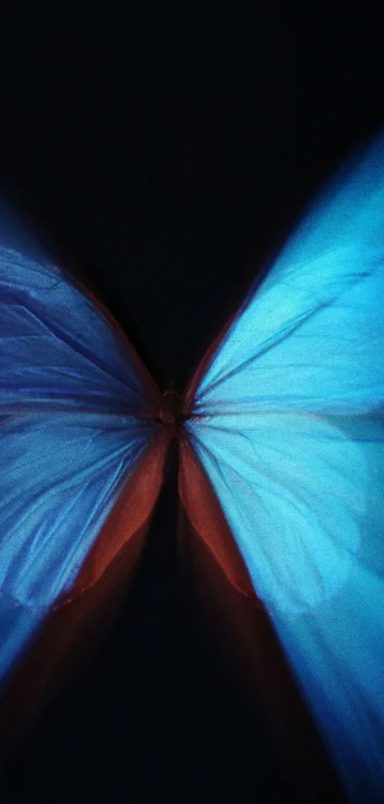 The butterfly effect: How small changes create big consequences