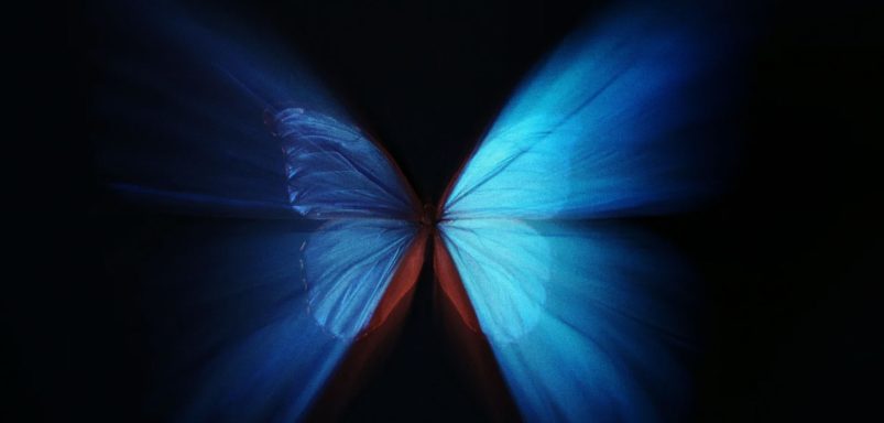 The butterfly effect: How small changes create big consequences
