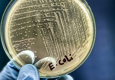 How is a common bacterium transforming plastic waste into life-saving medicines?
