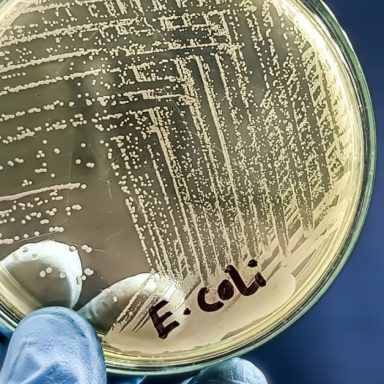 How is a common bacterium transforming plastic waste into life-saving medicines?
