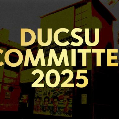 At a glance the new faces of DUCSU committee 2025