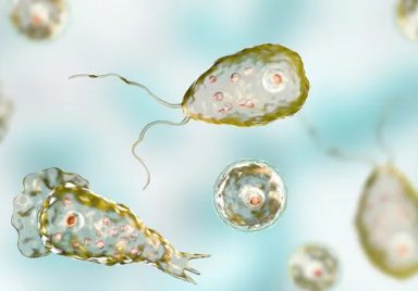 What is brain eating amoeba: How it spreads