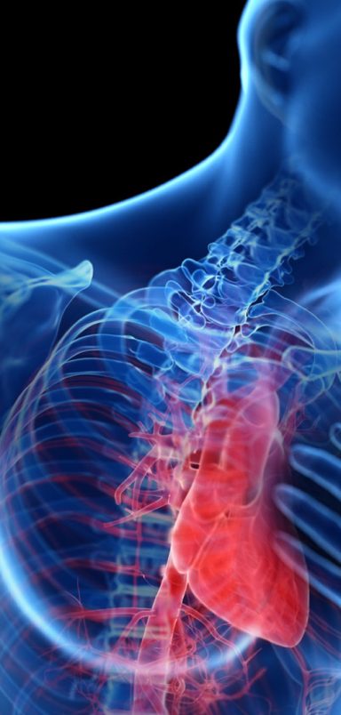 Cardiologists reveal 5 warning signs of a heart attack