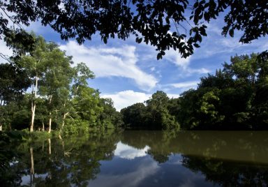 Rema–Kalenga wildlife sanctuary: A complete travel guide