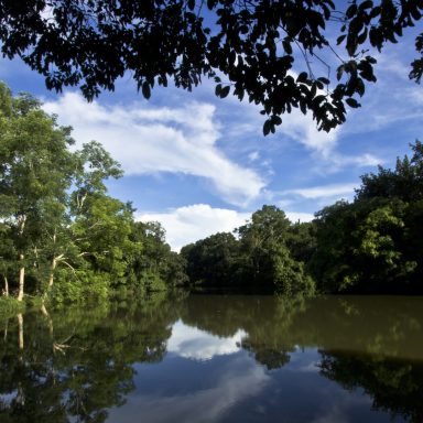 Rema–Kalenga wildlife sanctuary: A complete travel guide
