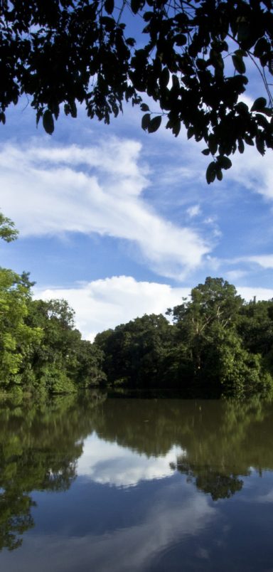 Rema–Kalenga wildlife sanctuary: A complete travel guide