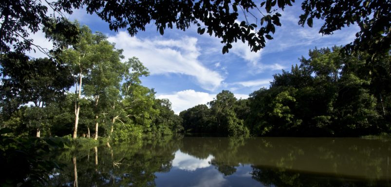 Rema–Kalenga wildlife sanctuary: A complete travel guide