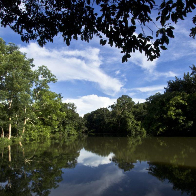 Rema–Kalenga wildlife sanctuary: A complete travel guide