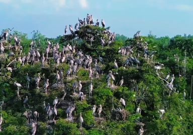 How a village is being made tourist-friendly by focusing on the migration of birds