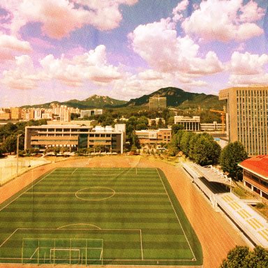 Study in South Korea: Complete guide for international students