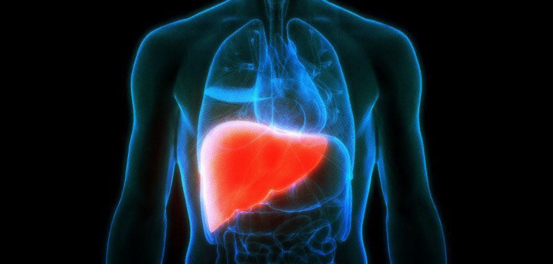 Liver cancer awareness month: What you need to know and how to stay safe