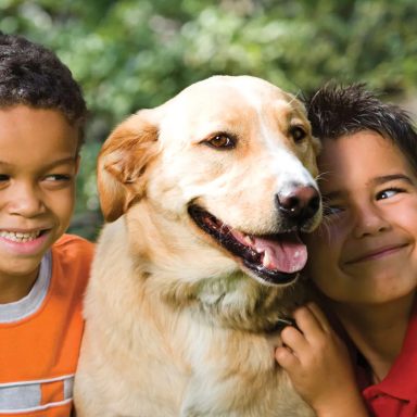 How losing a family pet helps children learn about grief