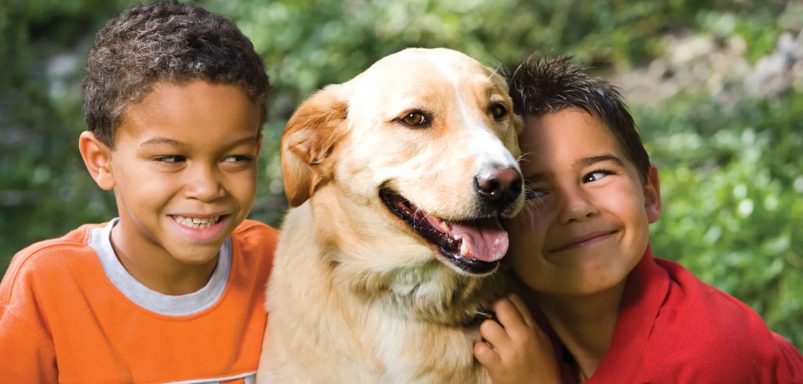 How losing a family pet helps children learn about grief