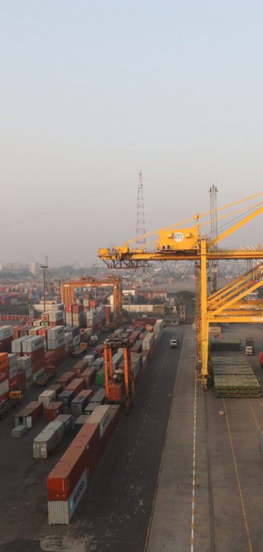 What do we know about leasing of terminals under Ctg Port to foreign firms for up to 30 years?