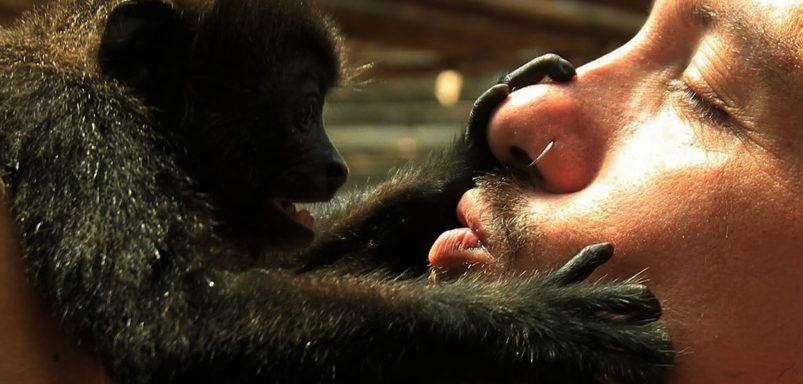 First kiss was 20 million years ago by early primates: scientists