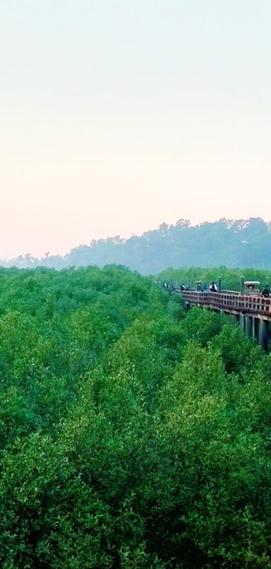 Maheshkhali: A day trip to Bangladesh's only hilly island