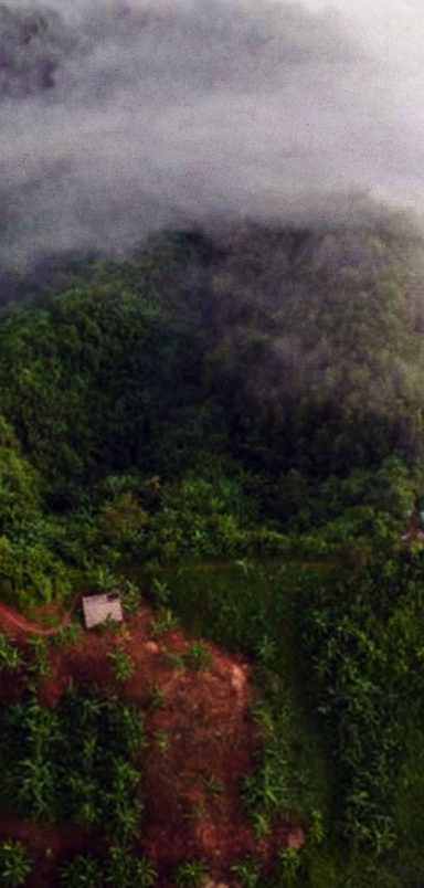 Mirinja Valley travel guide: Bangladesh's cloud paradise