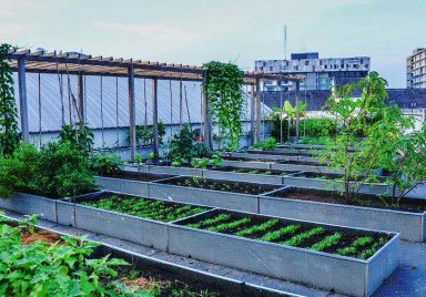 10 rooftop gardening tips for this winter