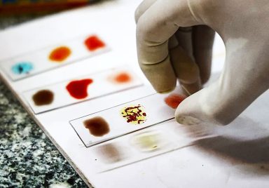 Why ‘Golden Blood’ is considered the world’s rarest blood type with only 1 in 6 million carriers