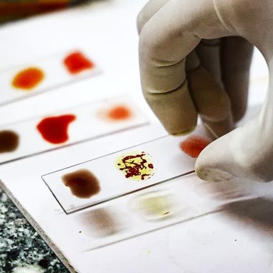 Why ‘Golden Blood’ is considered the world’s rarest blood type with only 1 in 6 million carriers