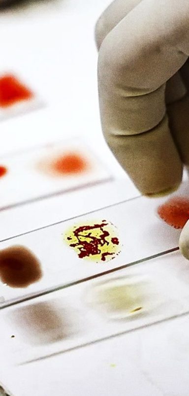 Why ‘Golden Blood’ is considered the world’s rarest blood type with only 1 in 6 million carriers