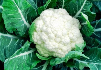 Top 10 nutritious winter vegetables in Bangladesh