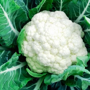 Top 10 nutritious winter vegetables in Bangladesh