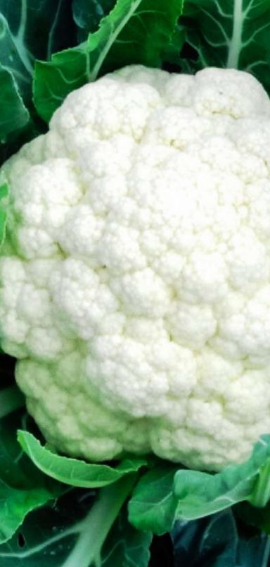 Top 10 nutritious winter vegetables in Bangladesh