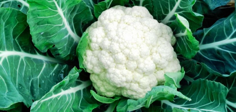 Top 10 nutritious winter vegetables in Bangladesh