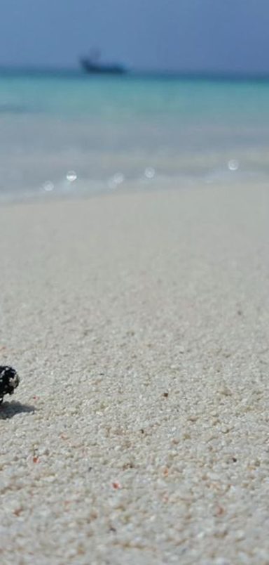 Why did Maldives begin a 'generational ban' on smoking?