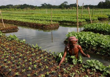 How Pirojpur's water becomes the new soil when lands submerge