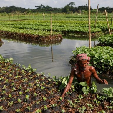 How Pirojpur's water becomes the new soil when lands submerge