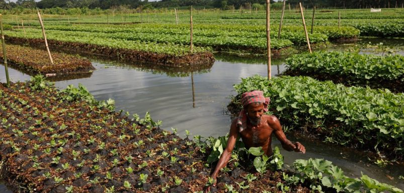 How Pirojpur's water becomes the new soil when lands submerge