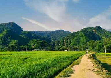 Panchgaon hills travel guide: Hidden beauty in Netrokona