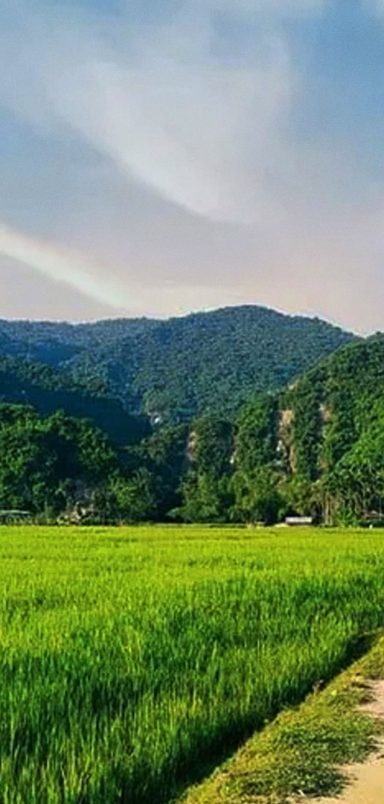 Panchgaon hills travel guide: Hidden beauty in Netrokona