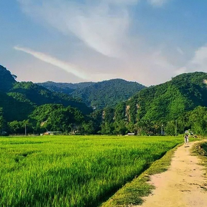 Panchgaon hills travel guide: Hidden beauty in Netrokona