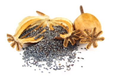 Why are poppy seeds illegal in Bangladesh despite being used as a common spice?