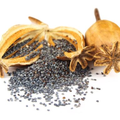 Why are poppy seeds illegal in Bangladesh despite being used as a common spice?