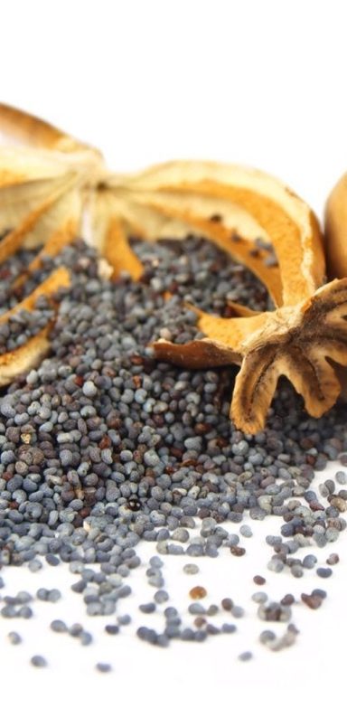 Why are poppy seeds illegal in Bangladesh despite being used as a common spice?